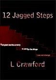 12 Jagged Steps book cover